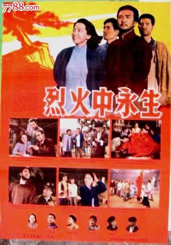 办理斯洛文尼亚驾照